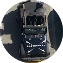 Profile photo of brent haynes