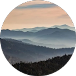 Profile photo of Carl Lowry