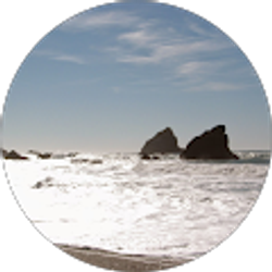 Profile photo of Wendy Slick