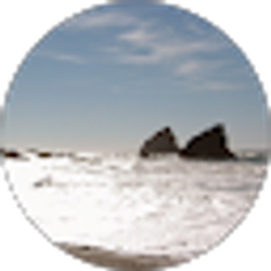 Profile photo of Wendy Slick