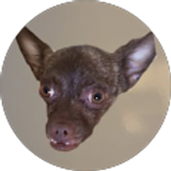 Profile photo of Heath Hise