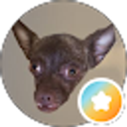 Profile photo of Heath Hise