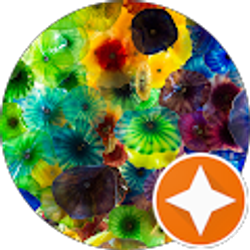 Profile photo of BJnFLA