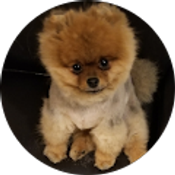 Profile photo of Gary Stokes