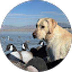 Profile photo of Conner Parry