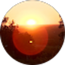 Profile photo of Susan Cooper Houben