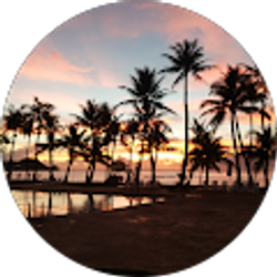 Profile photo of 이도석