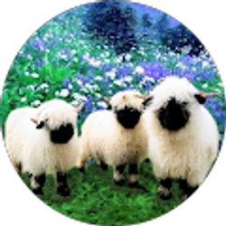 Profile photo of Cherie Florence