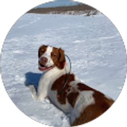 Profile photo of Kyle Bennett