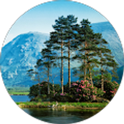 Profile photo of Jonathan Welch