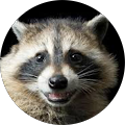 Profile photo of Brennan Rudolph