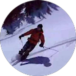 Profile photo of David Saurman