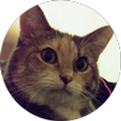 Profile photo of Beth Dyer