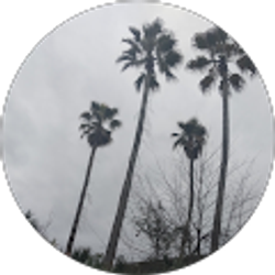 Profile photo of Ayoo Oo