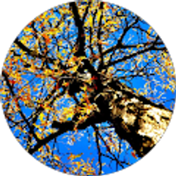 Profile photo of Adam