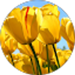 Profile photo of Linh Phan