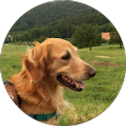 Profile photo of Timothy Schumacher