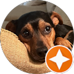 Profile photo of Beth Mazur