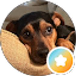 Profile photo of Beth Mazur