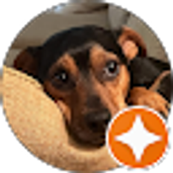 Profile photo of Beth Mazur