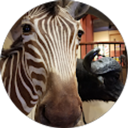 Profile photo of matthew wiedemann