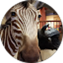 Profile photo of matthew wiedemann