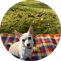 Profile photo of Holly Hernandez