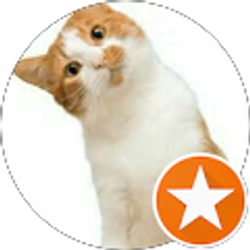 Profile photo of 2025 M