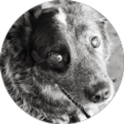 Profile photo of Stephanie Burrows