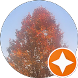 Profile photo of Dayana Ani