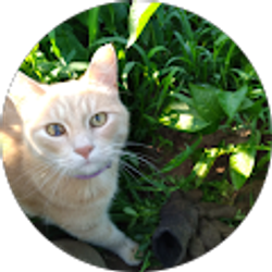 Profile photo of Kathy Slivinski