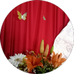 Profile photo of Remedios Panchi