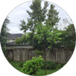 Profile photo of Yihao Xi