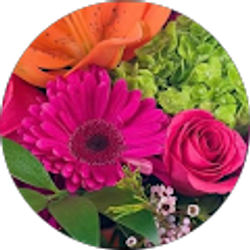 Profile photo of Vicki W