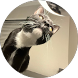 Profile photo of victoria crump