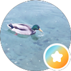 Profile photo of Hiwot