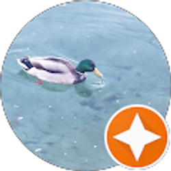 Profile photo of Hiwot