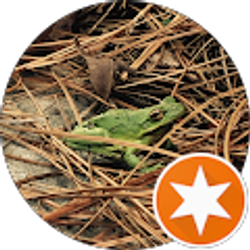 Profile photo of Jude Mason