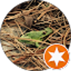 Profile photo of Jude Mason