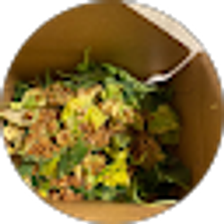 Profile photo of Moses Darius