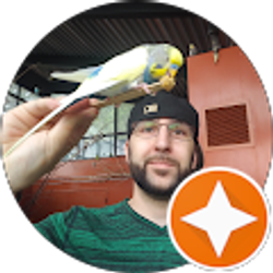 Profile photo of Mitchell Johnson