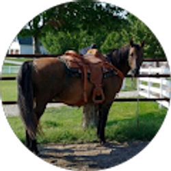 Profile photo of Douglas Babcock