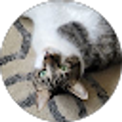 Profile photo of TF