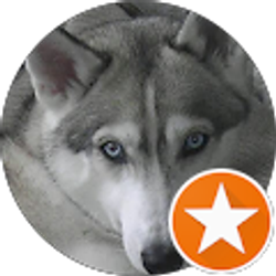 Profile photo of robert alewel