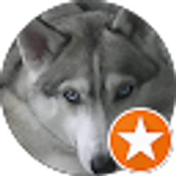 Profile photo of robert alewel