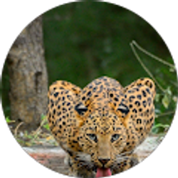 Profile photo of catherine mitchell