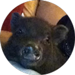 Profile photo of miste ellis