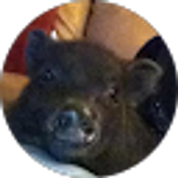 Profile photo of miste ellis