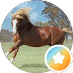 Profile photo of Irma A Leiva