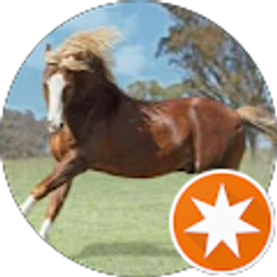 Profile photo of Irma A Leiva